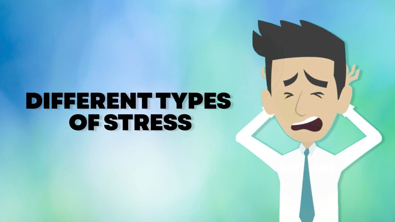 Different Types of Stress | Everyday Empathy